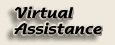 Virtual Assistance